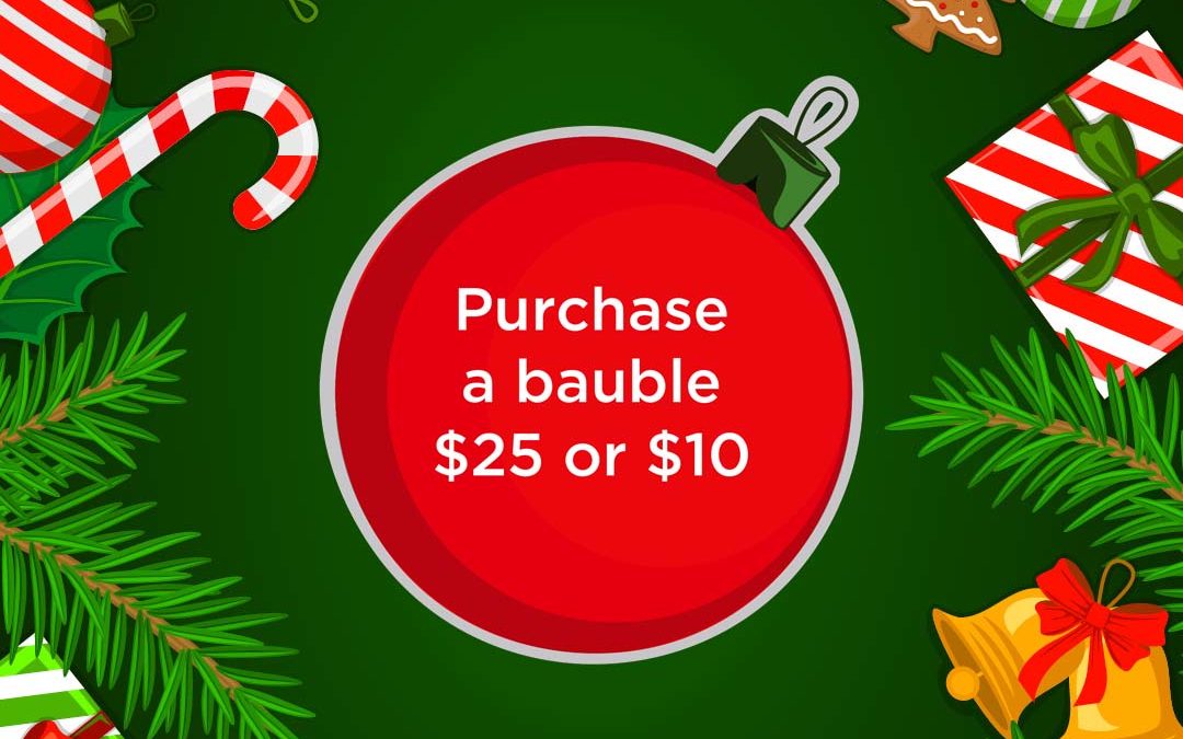 Buy a Bauble Campaign