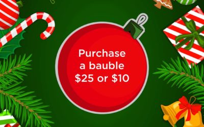 Buy a Bauble Campaign